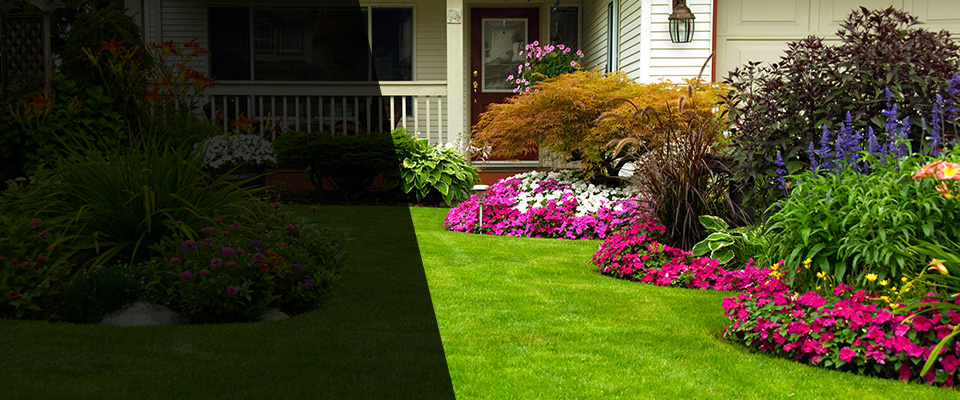 Dumfries Landscapers